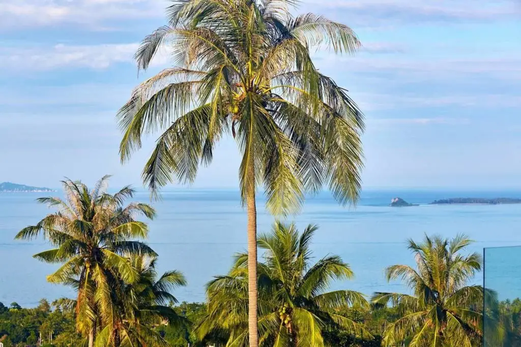 Самуи: Villa Vicky Samui