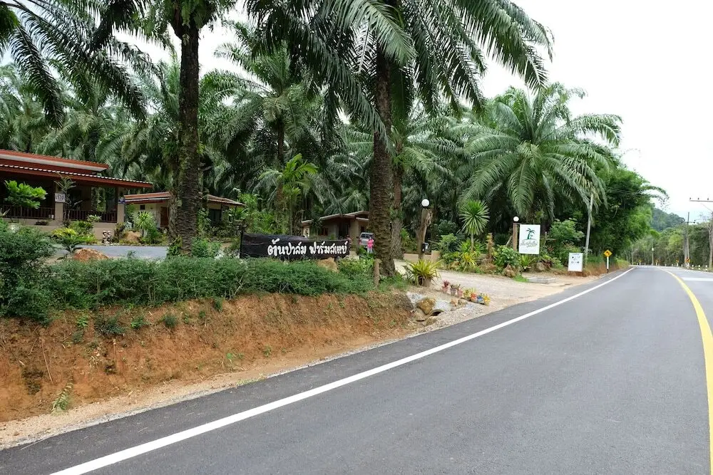 Клонг-Том: Tonpalm Farmstay