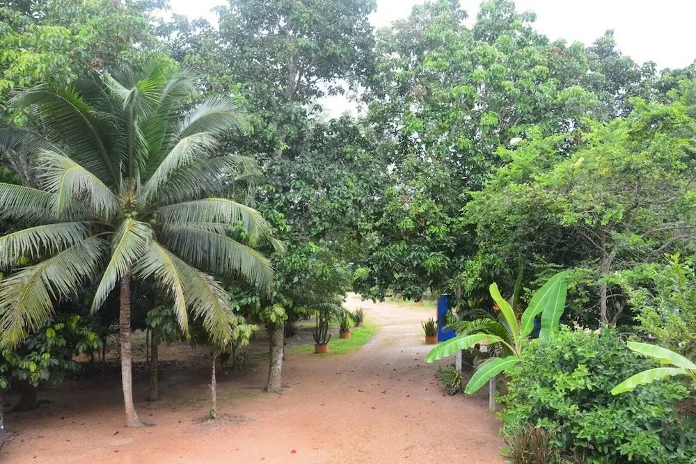 Хатъяй: Phetthongtan Garden