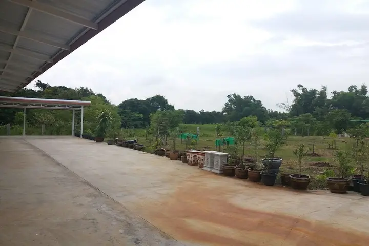 Чаккарат: Praew Place Phimai