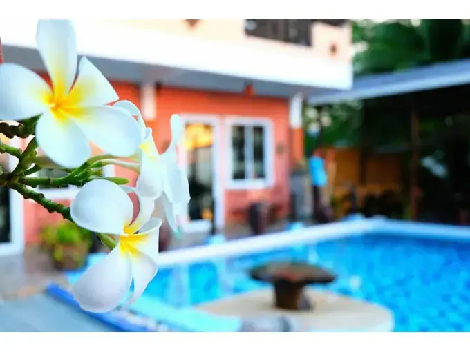 Остров Тау: Little Hotel Koh Tao