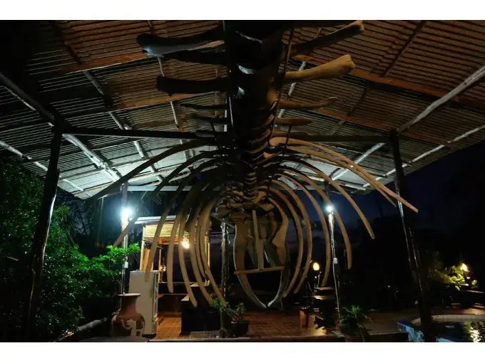 Остров Тау: Little Hotel Koh Tao