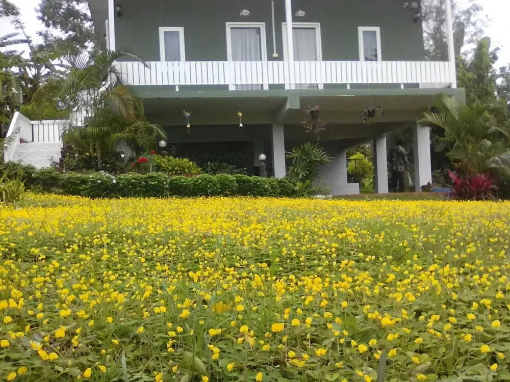 Кхао-Кхо: Baan Auemdao Resort