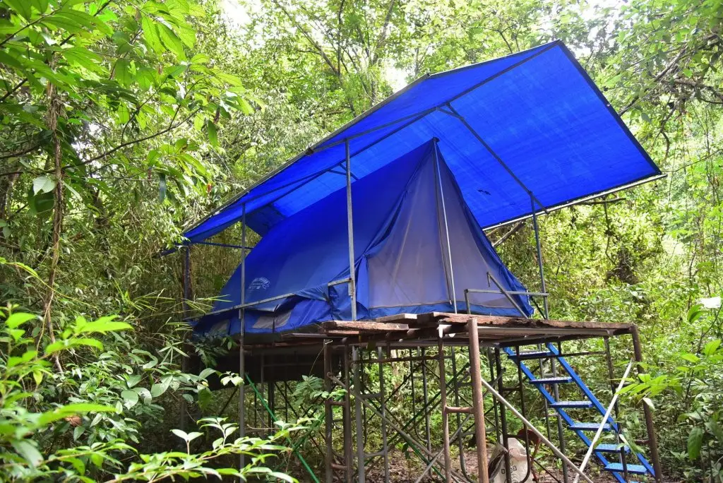 Wichai's Jungle Home Stay — фото 1