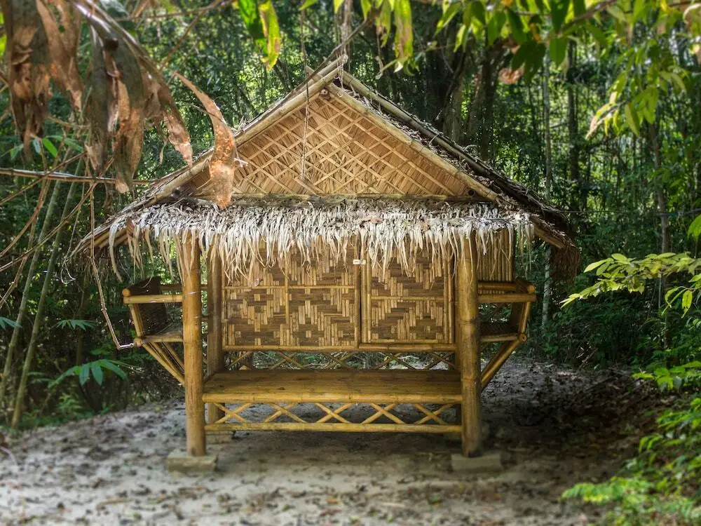Сураттхани: Wichai's Jungle Home Stay