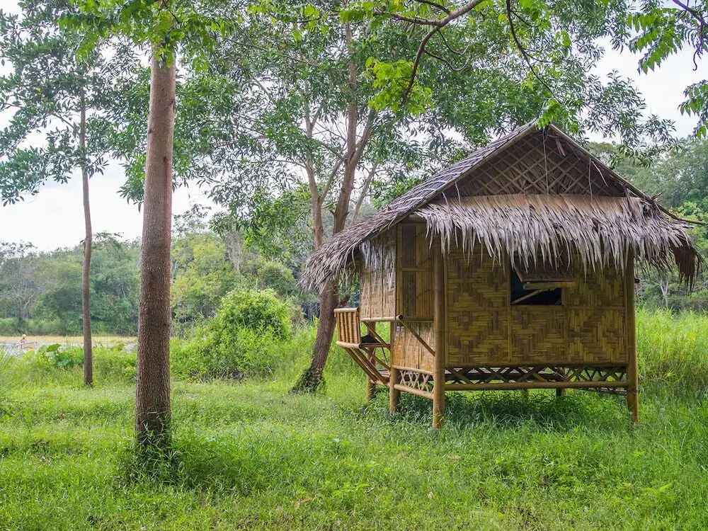 Сураттхани: Wichai's Jungle Home Stay