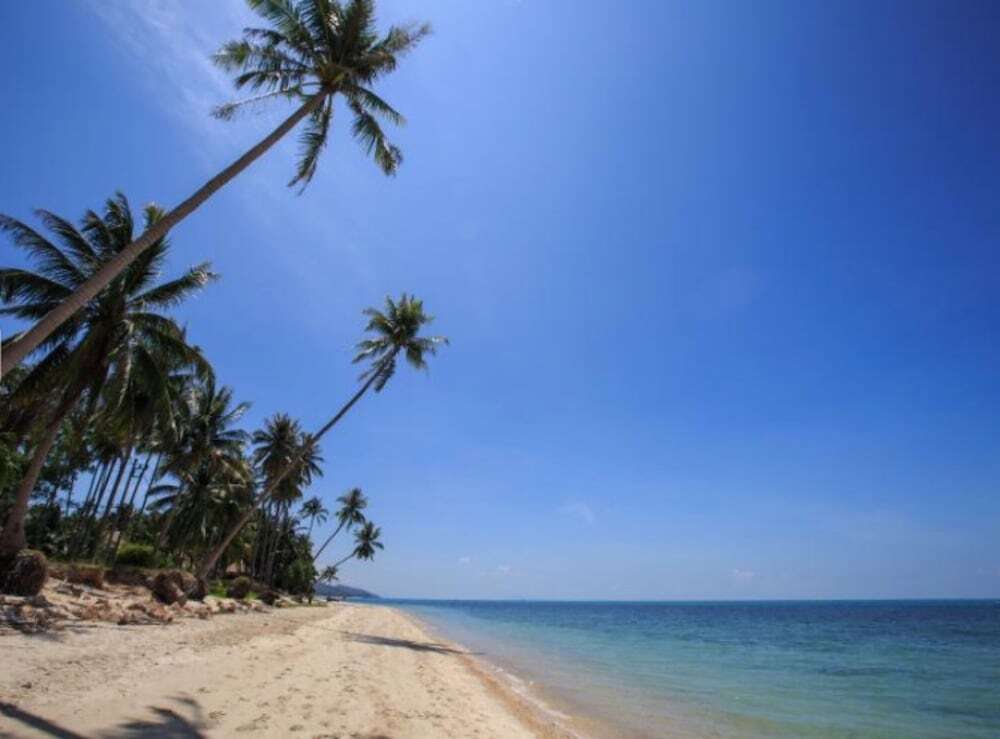 Самуи: 3 Bedroomed Luxury Ban Tai SDV240-By Samui Dream Villas