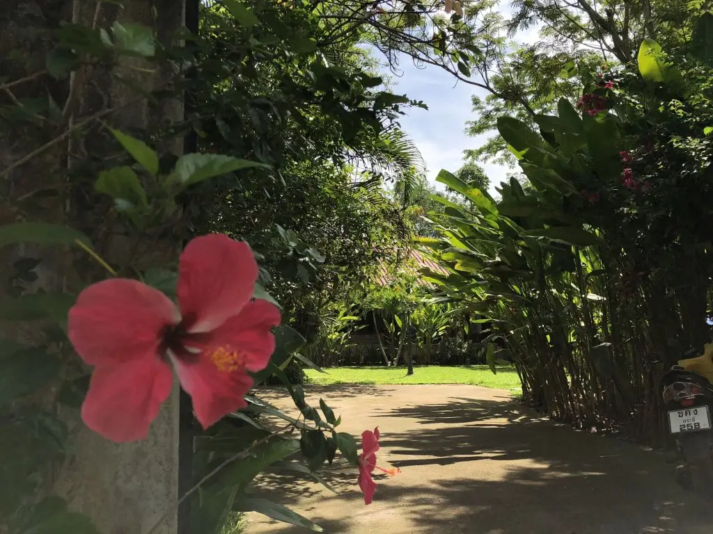 Happy Garden villa — фото 1