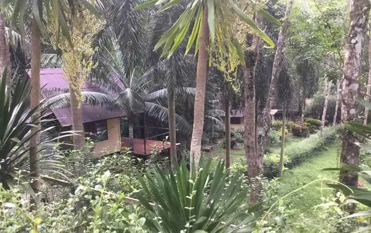 White Sand Garden — фото 1