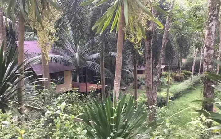 Ко Чанг: White Sand Garden