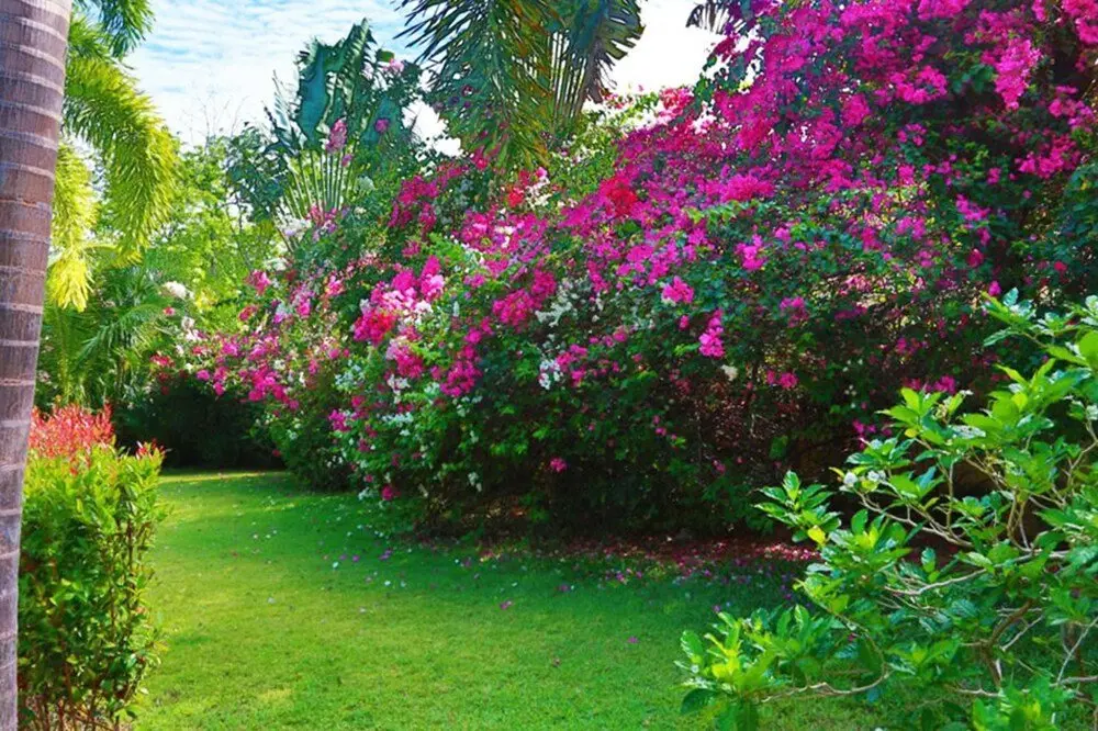 Муанг: Villa With 4 Bedrooms in Rawai Phuket, With Private Pool, Enclosed Gar