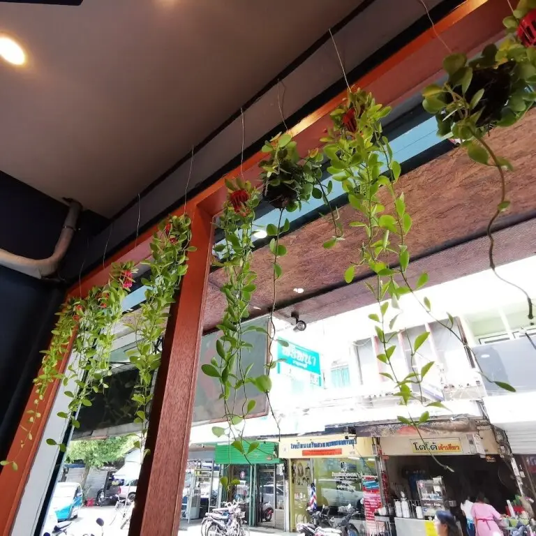 Канчанабури: Dluck Hostel