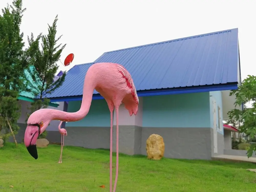 Лоэй: Muang Loei Airport Hotel