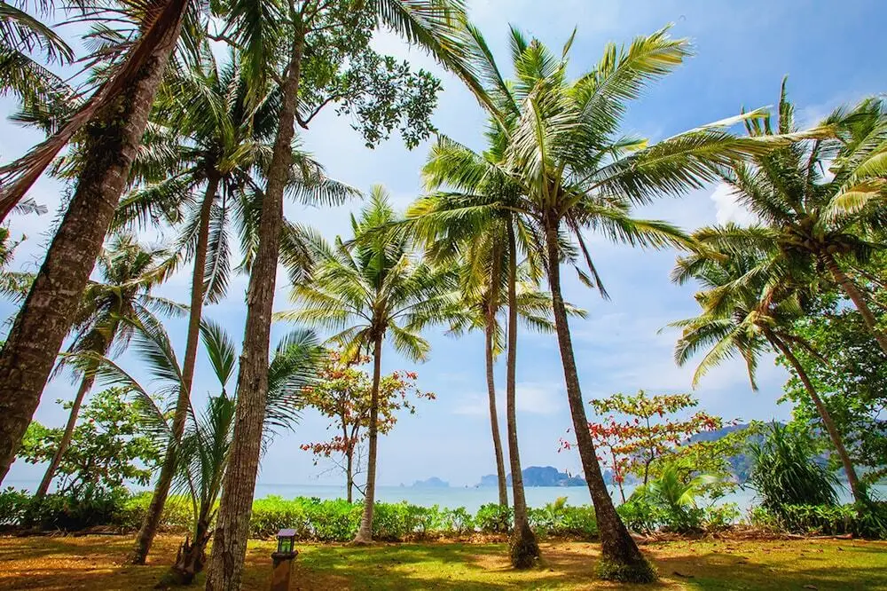 Краби: Amatapura Beach Villa 6
