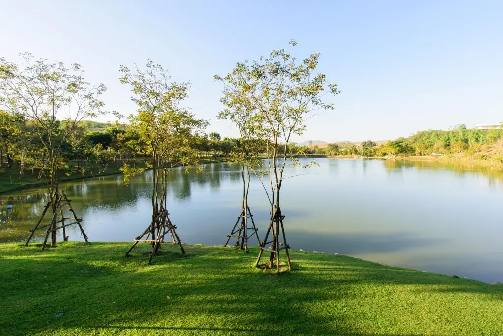 Пак-Чонг: The Gallery Khao Yai Hotel and Residence