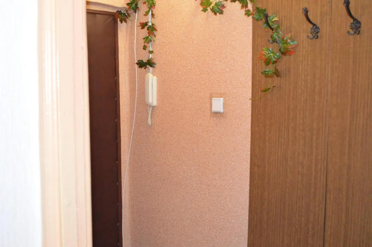 Смоленск: Apartaments at Shevchenko 66