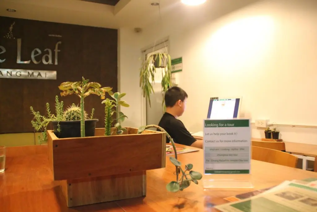Чиангмай: The Leaf Service Apartment