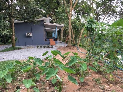 На Йай Ам: Suan Morn Thong Homestay