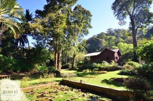 Мае-Таенг: Farm63 Chiang Dao