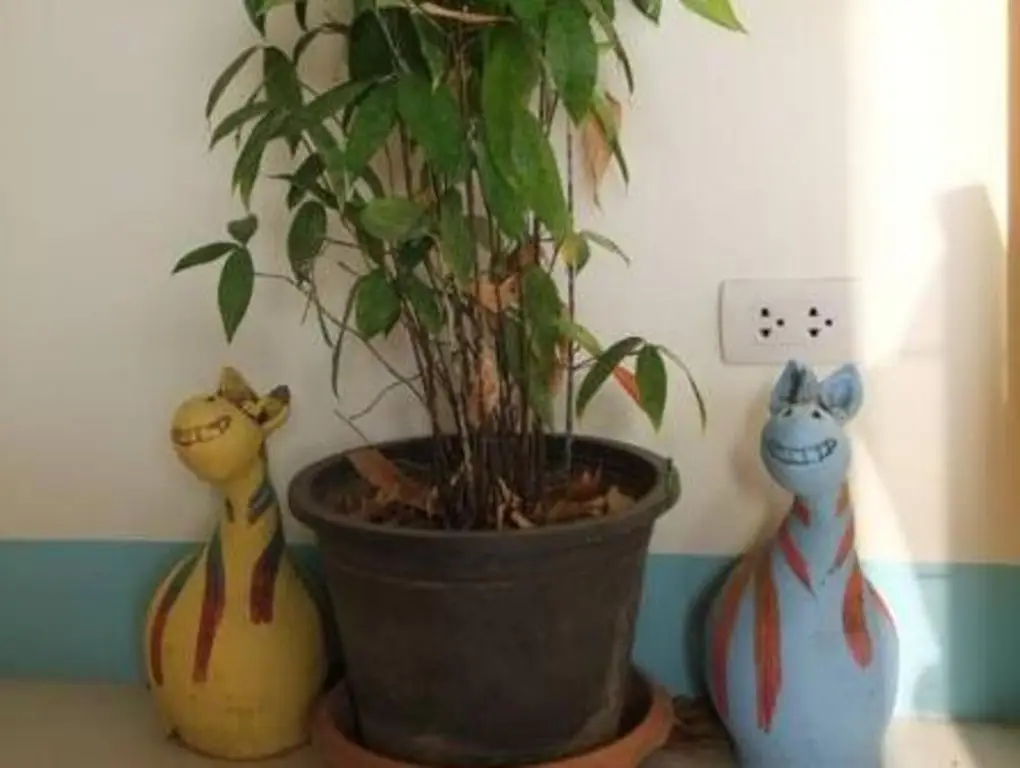 Краби: J Apartment