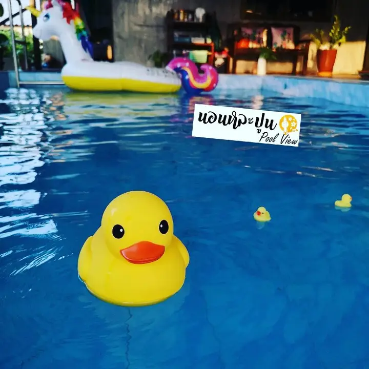Лампхун: Non La-poon pool view