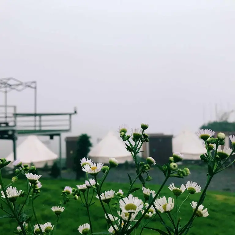 Маерим: Mon Jam Memory Camp