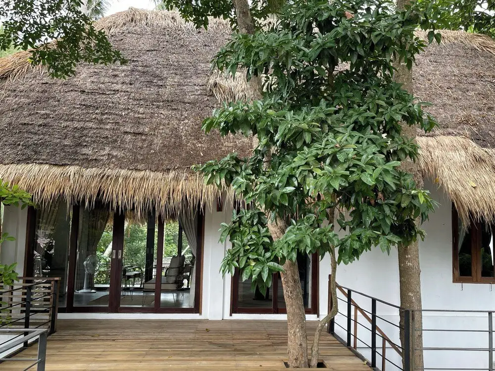 Мэй-Хаад-Бэй: Big Tree Boutique Hotel