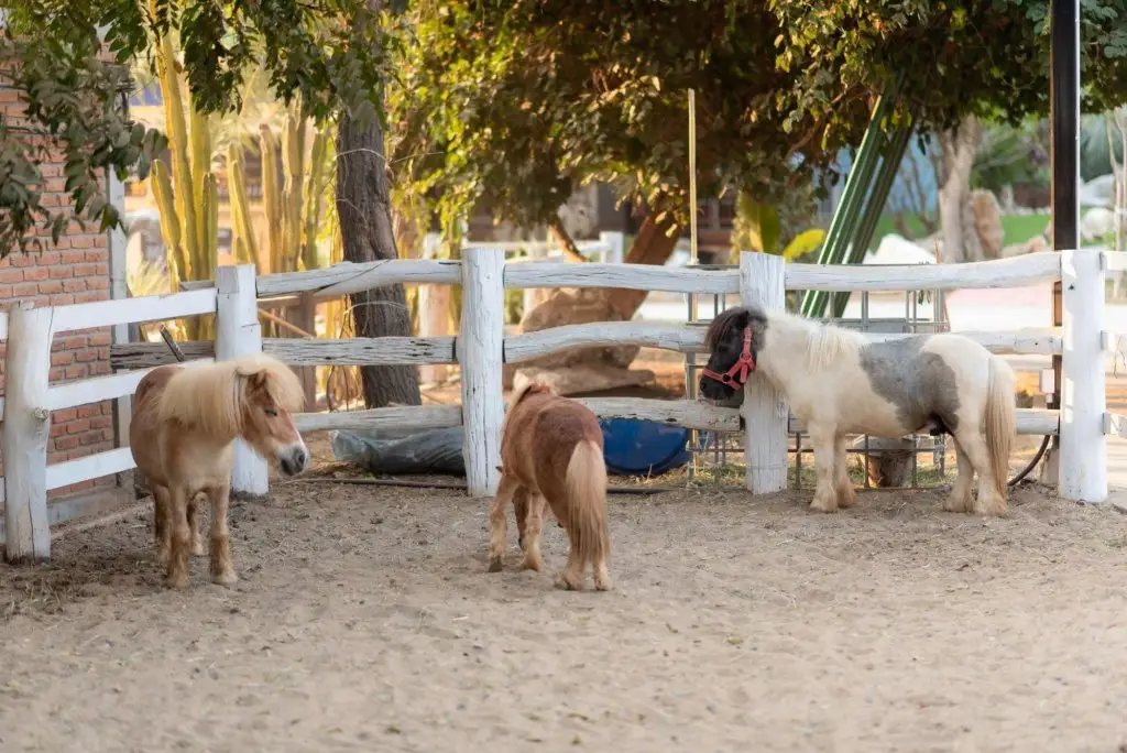 carousel image 5