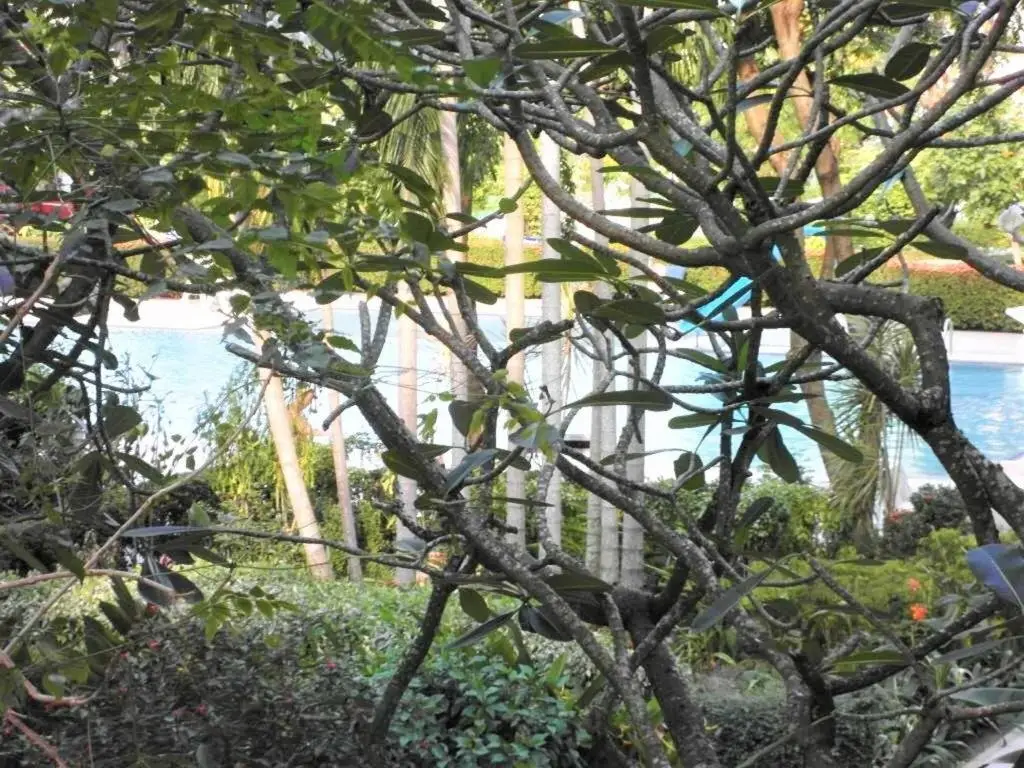 Паттайя: Baan Suan Lalana Td Large Modern Studio With Garden View Pattaya