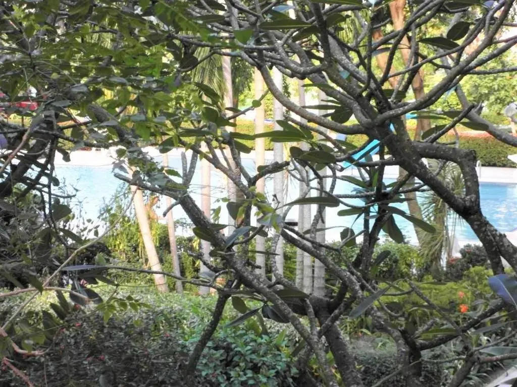 Паттайя: Baan Suan Lalana Td Large Modern Studio With Garden View Pattaya