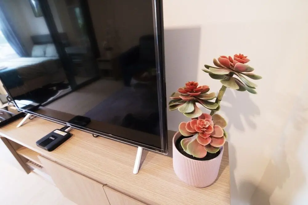 Бангкок: Apartment BTS On Nut, Convenience Store Nearby - bkmono10