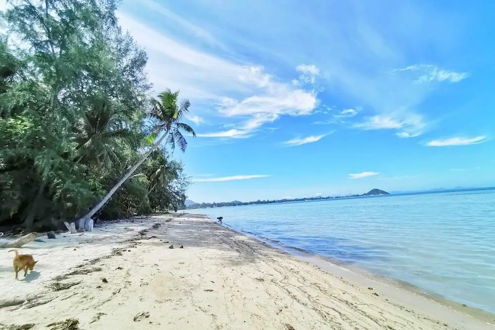 Самуи: Beach Bungalow