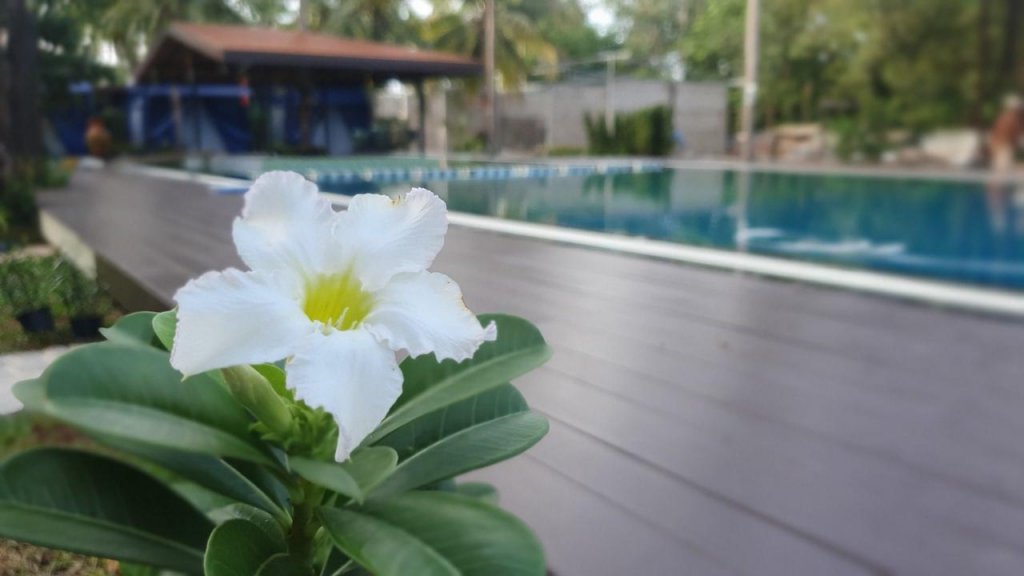 Чумпхон: Moonshine Resort Chumphon