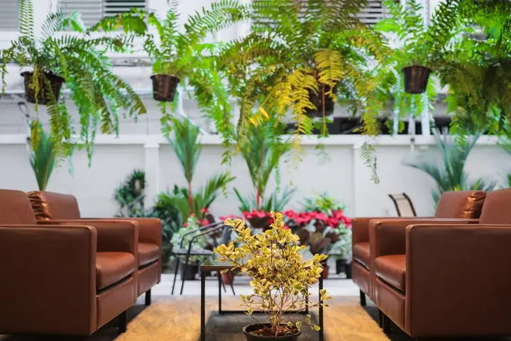 Паттайя: Nalanta Hotel Pattaya (SHA Plus+)