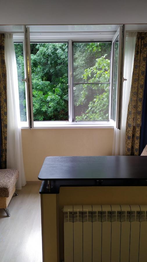 Кисловодск: Apartment on Velingradskaya