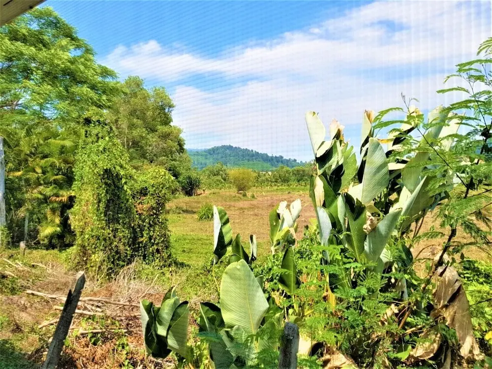 Такуа-Тунг: Nestvilla Khok-kloi Phang-nga