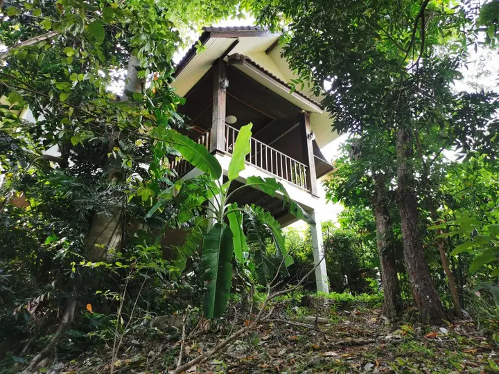 Самуи: Вилла Garden Villa 5