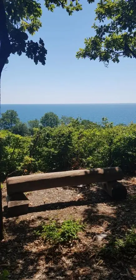 Тенгинское сельское поселение: Camping Gorizont