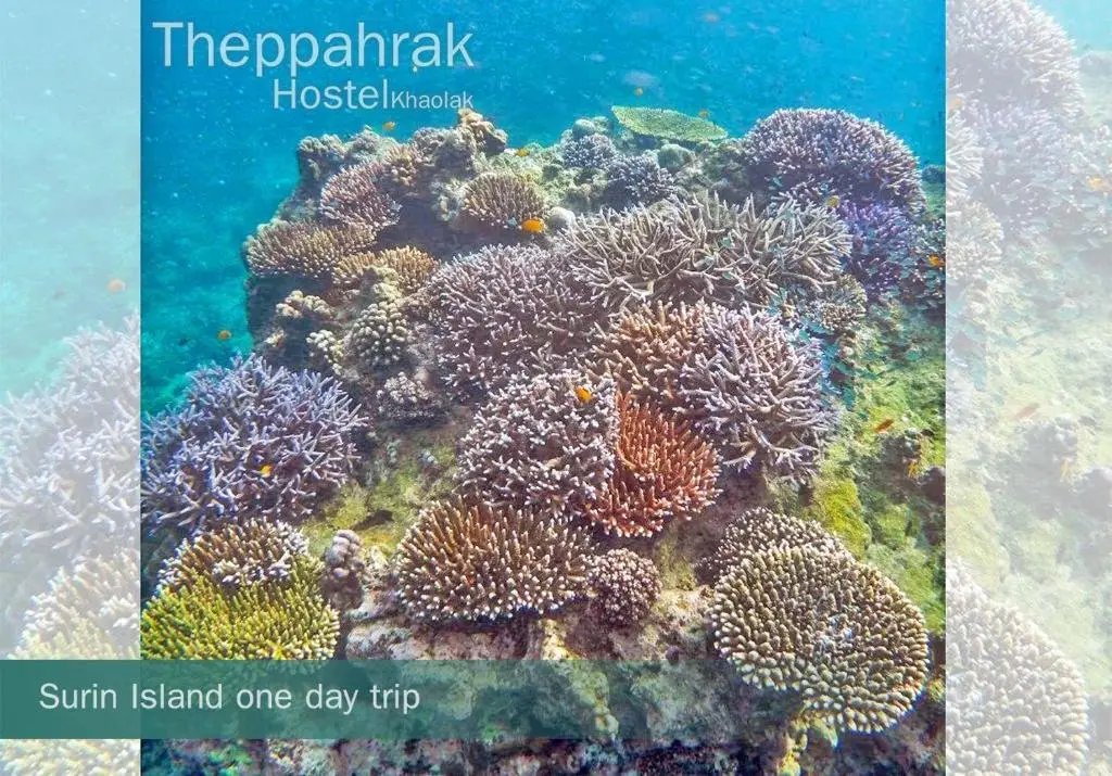 Као Лак: Theppahrak Hostel Khaolak