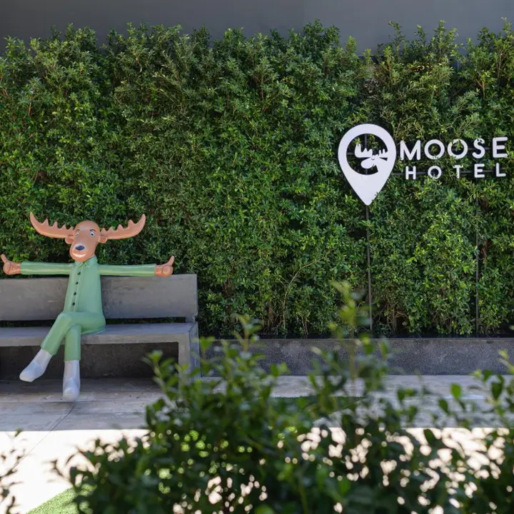 Чиангмай: Moose Hotel Chiangmai