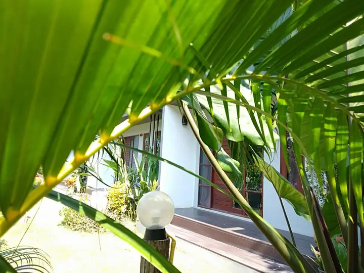 Канчанабури: The niran guest house