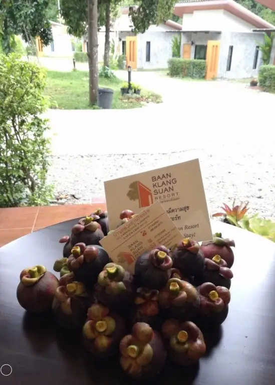 Ланг Суан: Baan Klang Suan Resort