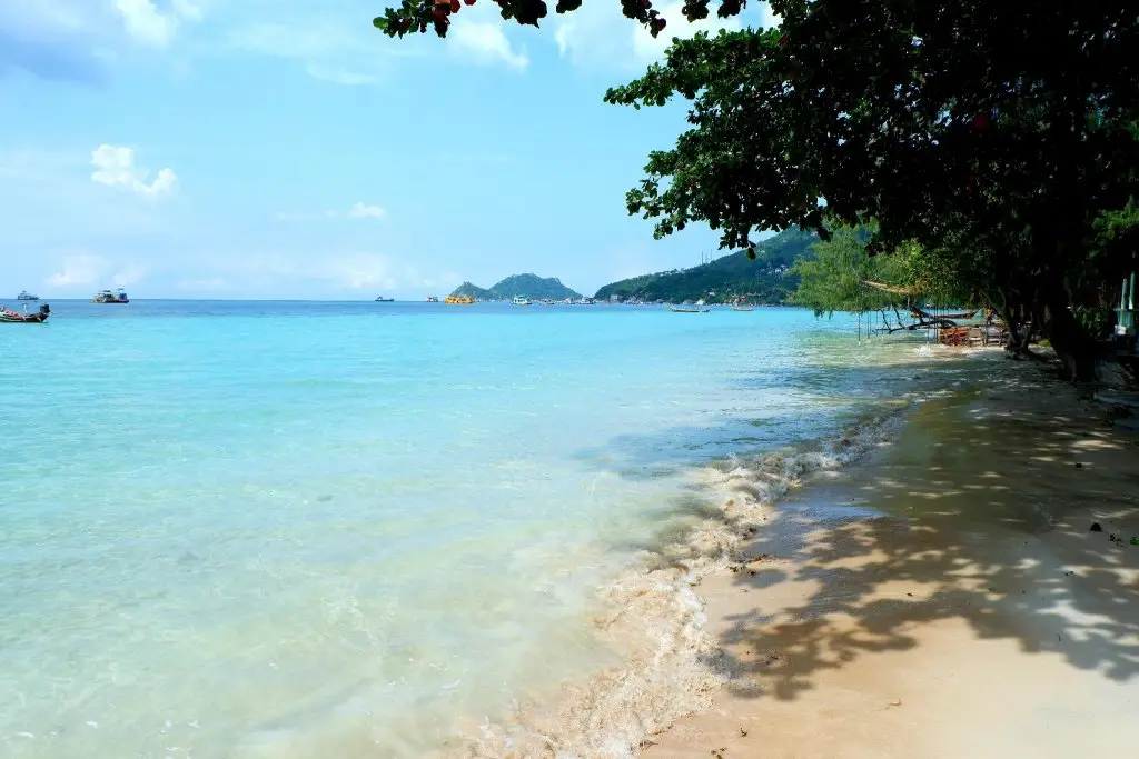 Остров Тау: Island Dive Club (SHA Extra Plus)