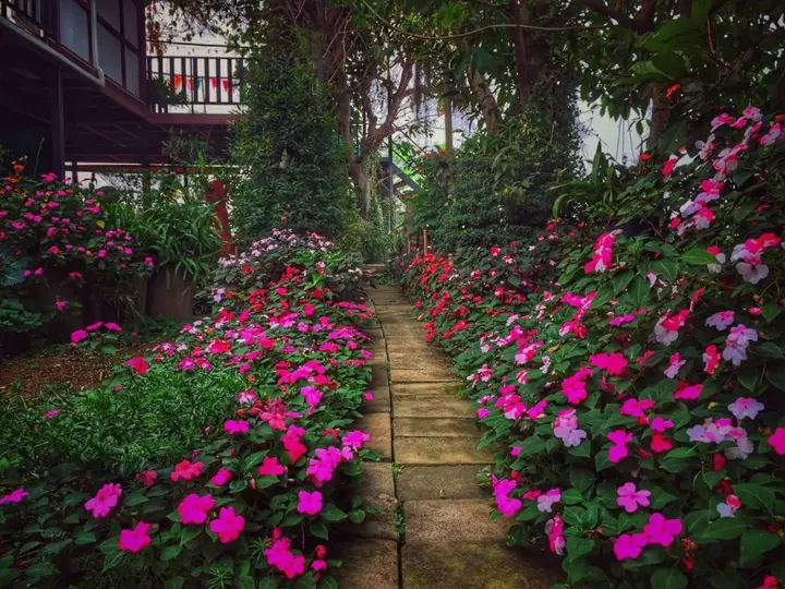 Чианграй: Six Nature Resort