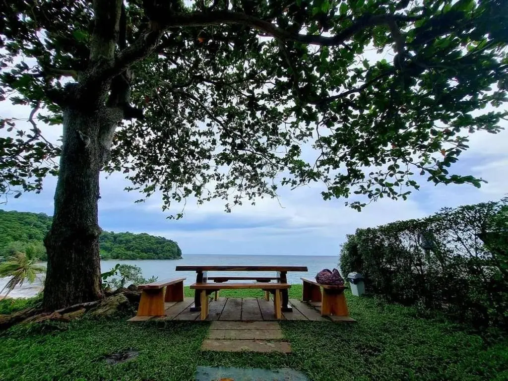 Лем Синг: Anatta The Cliff House