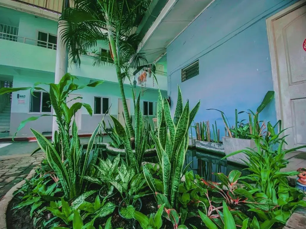 Чиангмай: Jongrak Guest House