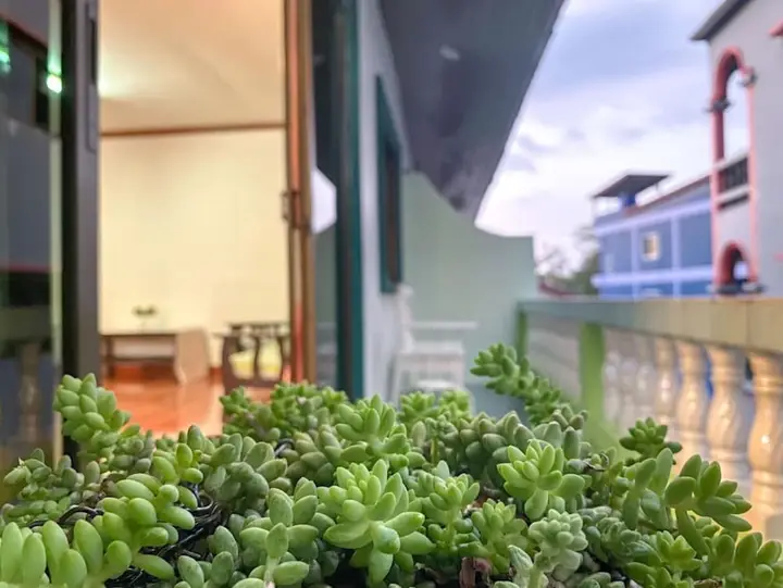 Кату: Pichnaree Guest House