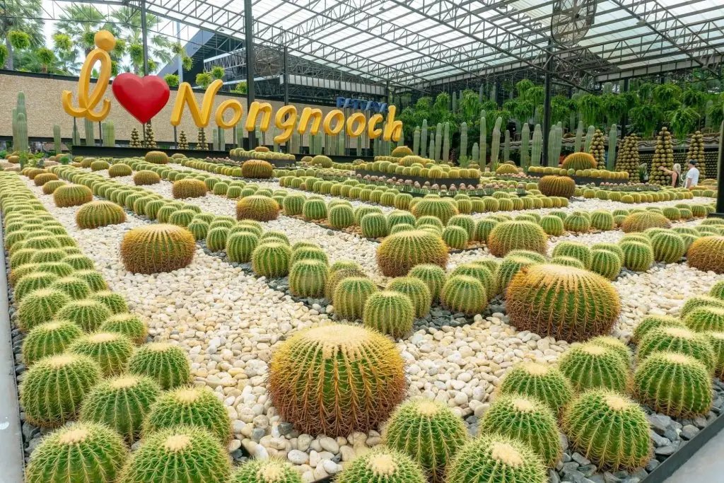 Банг-Саре: Nongnooch Garden Resort