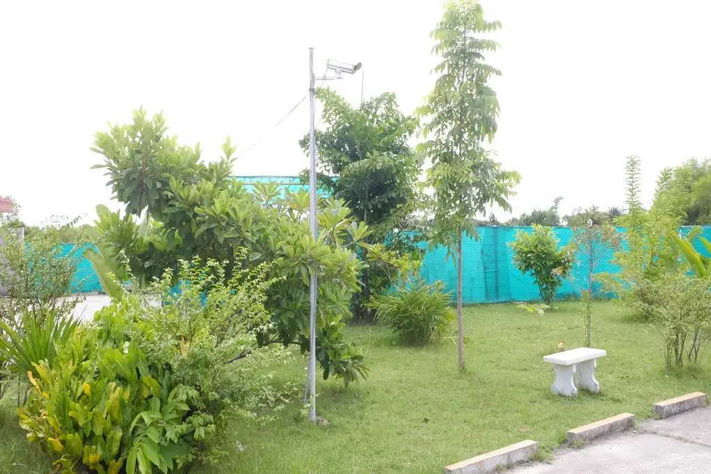 Бан Чанг: D View Resort