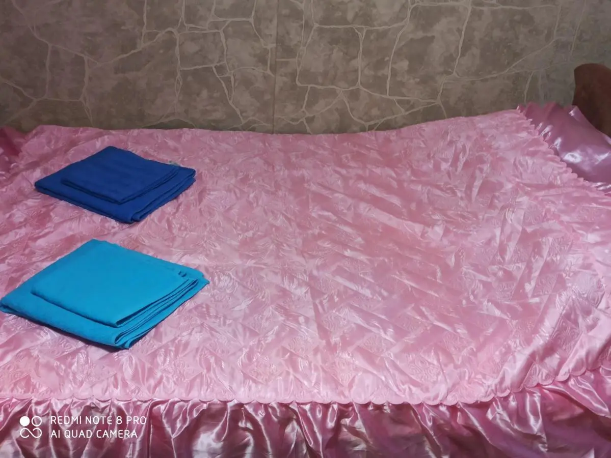 Кисловодск: Samye Ecologichnye Apartmenty on Krylova